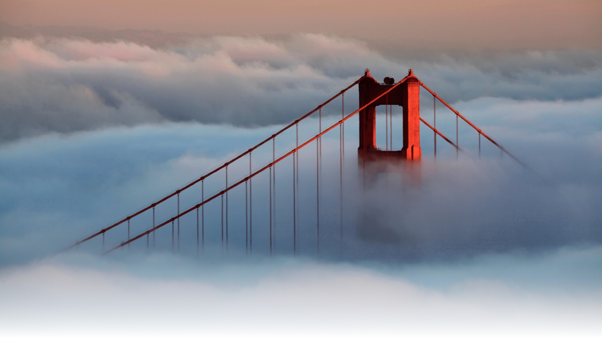 The Golden Gate Bridge rising out of the fog